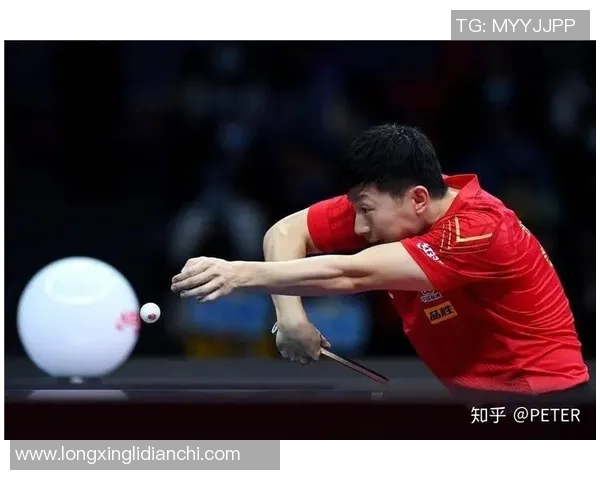 乒乓球新手必看：从耐力训练开始的全面入门指南