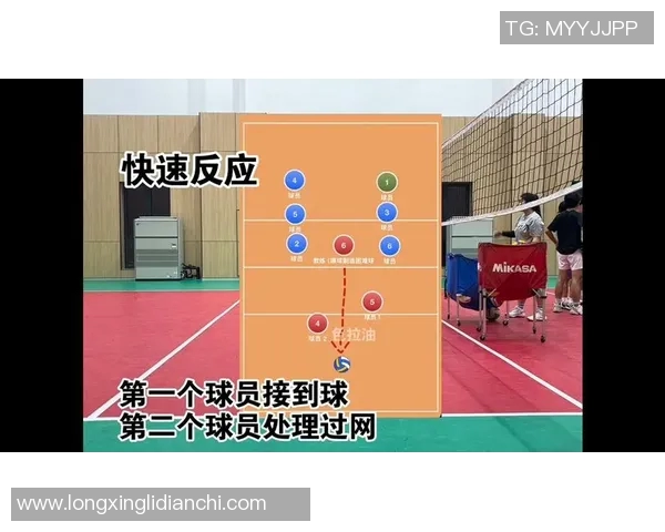广州排球队的速度之美：探索排球运动中的快速反应与战术配合