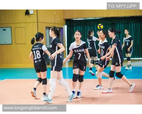 排球盛宴：深入解析南京排球队的战术布局与竞技风采