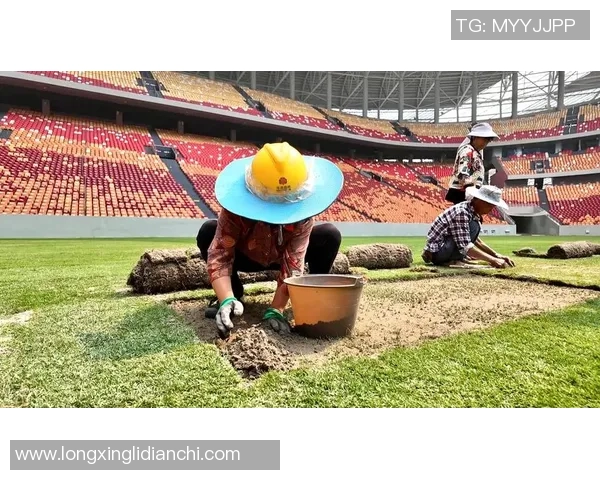 重庆足球队的运营成败分析与未来发展方向探讨 重庆足球队的运营成败分析与未来发展方向探讨