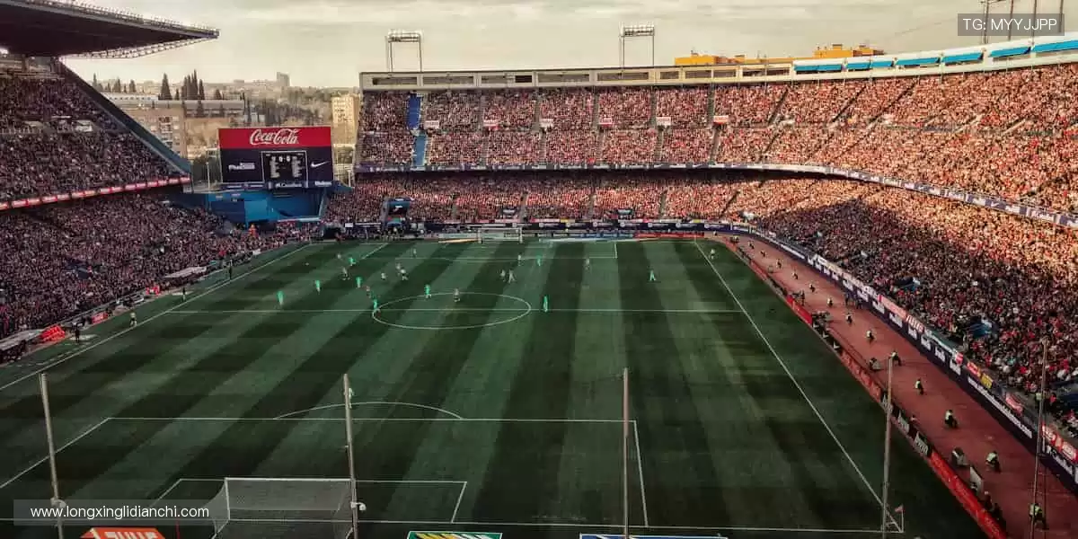 🎁🌟 限量周边,收藏你的热爱!