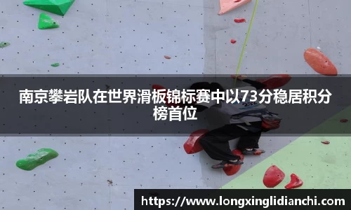 南京攀岩队在世界滑板锦标赛中以73分稳居积分榜首位