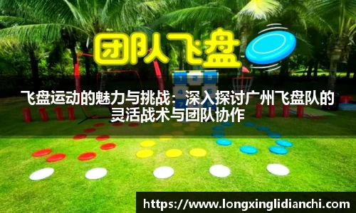 飞盘运动的魅力与挑战：深入探讨广州飞盘队的灵活战术与团队协作