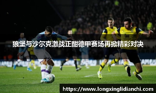 狼堡与沙尔克激战正酣德甲赛场再掀精彩对决